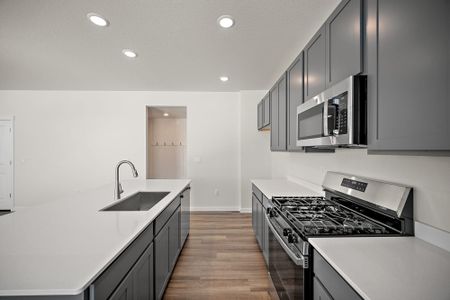 New construction Single-Family house 9673 Pinpoint, Fountain, CO 80817 plan Olive - image 9