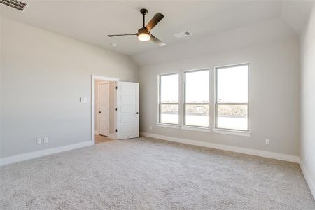 New construction Single-Family house 212 Basalt Ln, Azle, TX 76020 Lily- photo 33 33