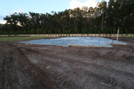 New construction Single-Family house 20339 Oriana Loop, Land O' Lakes, FL 34638 Newport II- photo 7 7