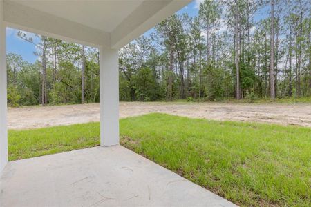 New construction Single-Family house 12639 Sw 78Th Pl, Dunnellon, FL 34432 null- photo 20 20