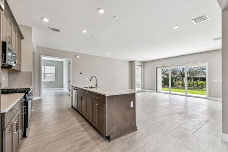 New construction Single-Family house 12505 White Blossom Ct, Parrish, FL 34219 plan Sapphire - image 19