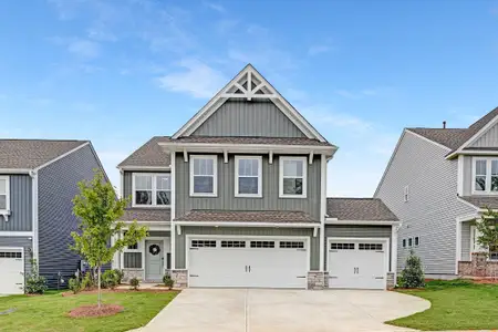 New construction Single-Family house 1015 Toland Dr, Unit 49, St. George, SC 29477 - image