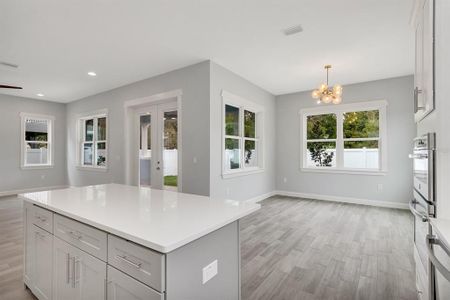 Wyoming Estates by DKV Tampa Homes in Tampa - photo 21 21