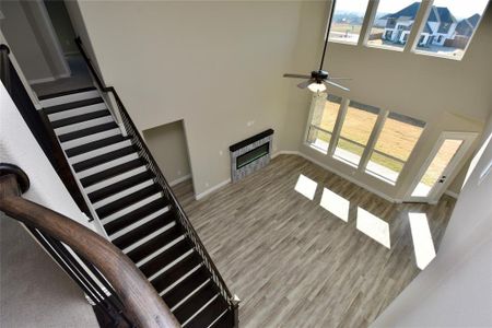 New construction Single-Family house 4010 Pleasant Dr, Prosper, TX 75078 - image 14