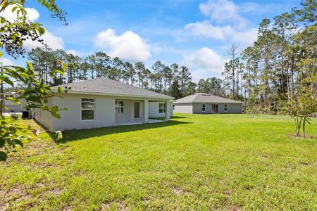 New construction Single-Family house 27 Poindexter Ln, Palm Coast, FL 32164 null- photo 57 57