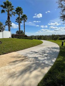 New construction Single-Family house 2296 Sirena Ln, Mount Dora, FL 32757 null- photo 8 8