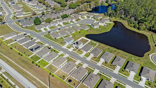 New construction Single-Family house 2736 Dumont Ln, Tavares, FL 32778 HAYDEN- photo 3 3