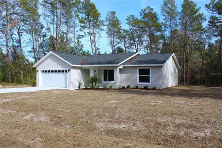 New construction Single-Family house 15 Fisher Way Pl, Ocklawaha, FL 32179 - image