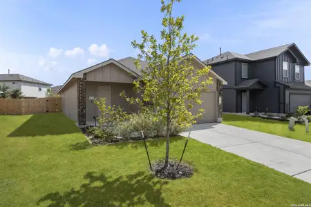 New construction Single-Family house 143 Pigeon Grn, San Antonio, TX 78253 - image