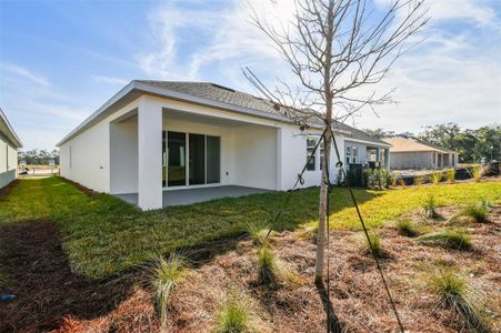 New construction Single-Family house 5938 Bristle Oak St, Mount Dora, FL 32757 null- photo 30 30