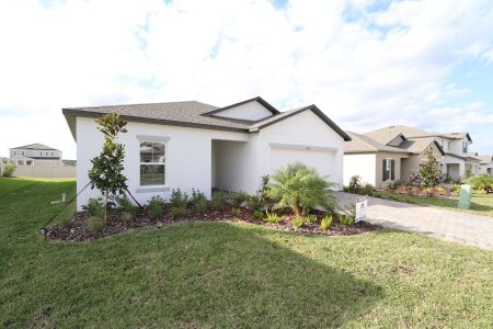 New construction Single-Family house 12193 Hilltop Farms Dr, Dade City, FL 33525 Sentinel- photo 121 121