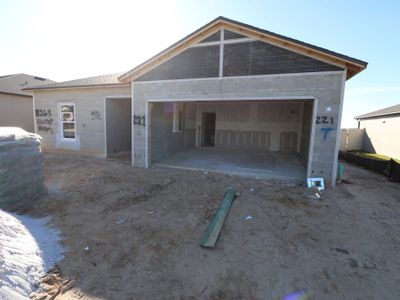 New construction Single-Family house 12263 Hilltop Farms Dr, Dade City, FL 33525 Sentinel- photo 55 55