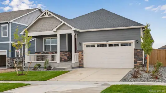 New construction Single-Family house 14234 Beebalm Ave, Parker, CO 80134 plan Chatham - image
