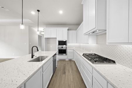 New construction Single-Family house 217 Raveena Blvd, Justin, TX 76247 plan Carmina - image 15