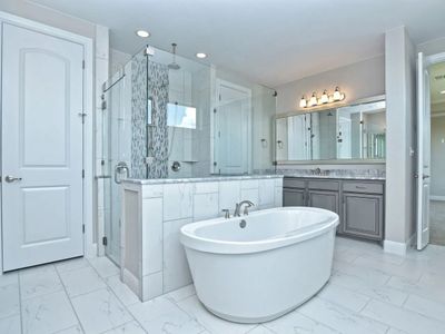 New construction Single-Family house 209 Bold Sundown, Liberty Hill, TX 78642 plan Coronado I - image 13