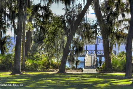 New construction Single-Family house 299 Spruce Hill Pt, Saint Johns, FL 32259 Arabelle- photo 13 13