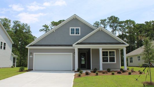 New construction Single-Family house 201 Bantry Ln, Conway, SC 29526 plan Litchfield - image