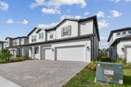 New construction Single-Family house 7819 Notched Pine Bnd, Wesley Chapel, FL 33545 Windsor- photo 85 85