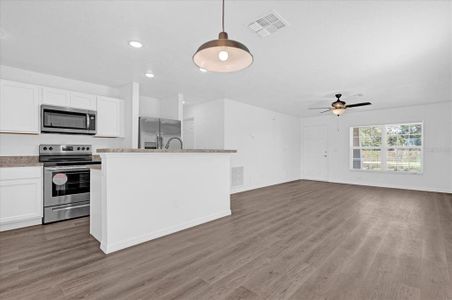 Kitchen / Living Room Open Floor Plan