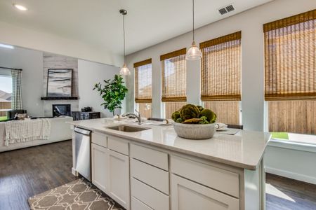 New construction Single-Family house 207 Oak Crest Dr, Justin, TX 76247 plan Monte Carlo - image 9