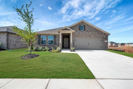 New construction Single-Family house 14212 Zealand Dr, Pilot Point, TX 76258 plan Polo - 40' Smart Series - image
