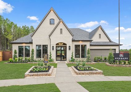 New construction Single-Family house 4907 Pinestraw Valley Wy, Montgomery, TX 77316 plan Amalfi - image