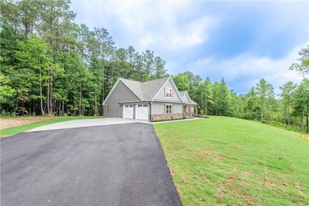 New construction Single-Family house 2294 Jerusalem Church Rd, Jasper, GA 30143 - image