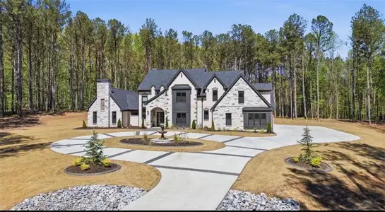 New construction Single-Family house 1315 Sandy Creek Rd, Tyrone, GA 30290 - image