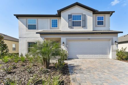 New construction Single-Family house 12219 Hilltop Farms Dr, Dade City, FL 33525 Malibu- photo 248 248