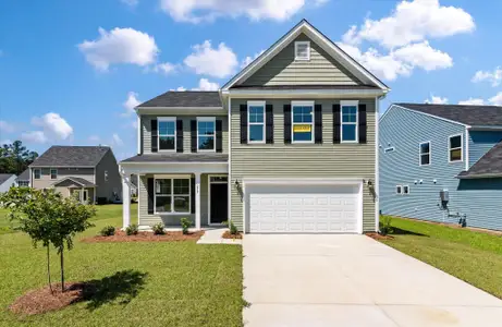 New construction Single-Family house 379 Blue Oak Dr, Moncks Corner, SC 29461 - image