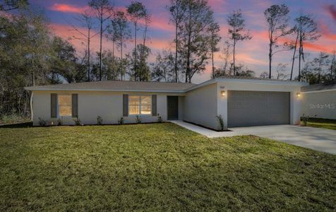 New construction Single-Family house 1821 W Water Lily Dr, Citrus Springs, FL 34434 - image
