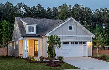 New construction Single-Family house 19 Dover Downs Dr, Clayton, NC 27520 null- photo 0 0