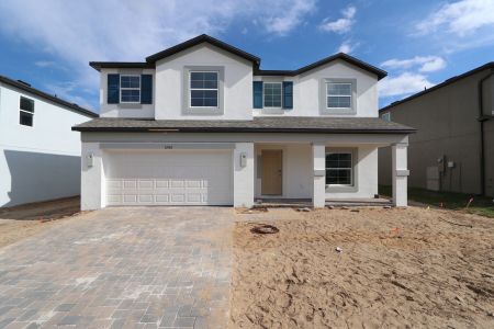 New construction Single-Family house 12168 Hilltop Farms Dr, Dade City, FL 33525 Malibu- photo 92 92