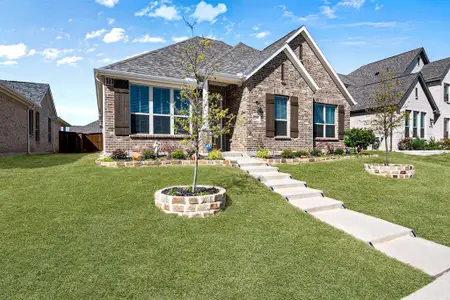 New construction Single-Family house 2209 Glacier Dr, Waxahachie, TX 75165 plan Blue Jay - image