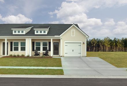New construction Single-Family house 5067 Blackberry Ln, Ravenel, SC 29470 - image