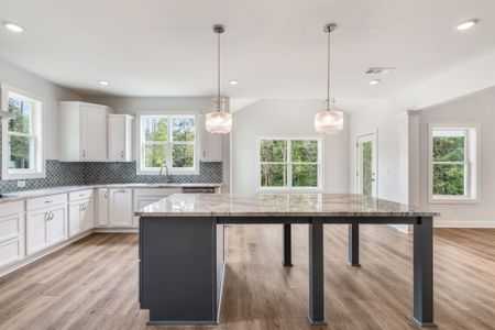 New construction Single-Family house 102 Mill Race Rd, Thomaston, GA 30286 plan Tinsdale - image 14