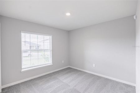 New construction Single-Family house 6042 Ballast Dr, Wimauma, FL 33598 plan Raychel - image 7