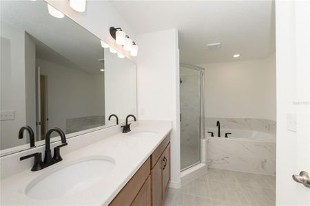 New construction Single-Family house 3432 Blueberry Trl, Bartow, FL 33830 - image 10