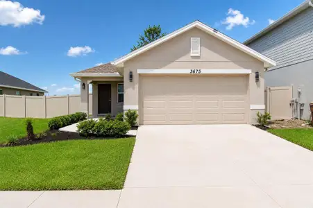 New construction Single-Family house 3675 Sagefield Dr, Harmony, FL 34773 - image