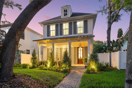 New construction Single-Family house 321 12Th Ave Ne, St. Petersburg, FL 33701 - image