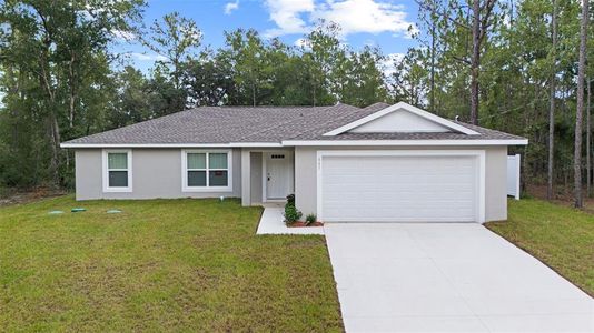 New construction Single-Family house 661 E Vercelli Ln, Dunnellon, FL 34434 - image