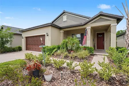 New construction Single-Family house 10395 Banyan Breeze Blvd, Land O' Lakes, FL 34638 - image