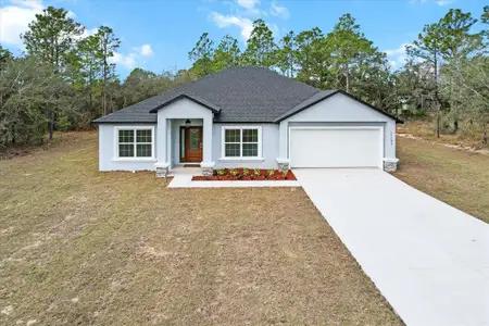 New construction Single-Family house 14183 English Sparrow Rd, Weeki Wachee, FL 34614 null- photo 0