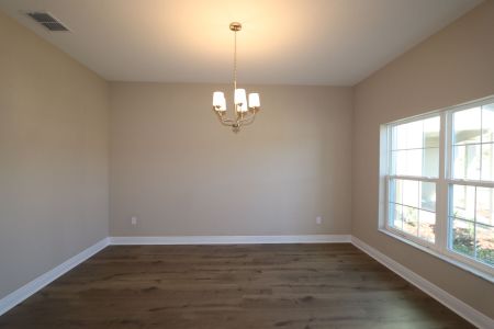 New construction Single-Family house 20125 Oriana Loop, Land O' Lakes, FL 34638 Santina II- photo 174 174