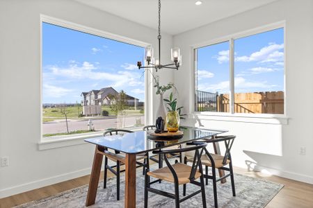 New construction Single-Family house 4800 Russet Hill Dr, Austin, TX 78723 - image 17