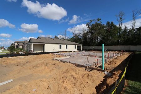 New construction Single-Family house 12008 Hilltop Farms Dr, Dade City, FL 33525 Alenza- photo 4 4