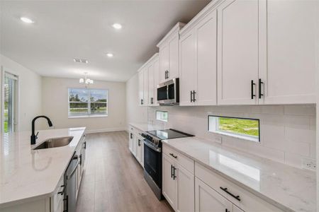 New construction Single-Family house 11324 Striped Bass Ct, New Port Richey, FL 34654 - image 5