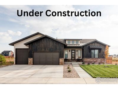New construction Single-Family house 124 Boxwood Dr, Windsor, CO 80550 Quandary- photo 0