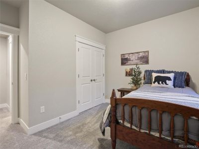 New construction Single-Family house 16015 Mountain Flax Dr, Monument, CO 80132 - image 5