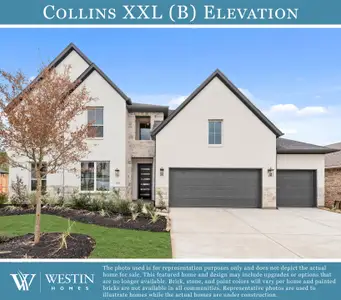 New construction Single-Family house 121 Beebalm Cv, Georgetown, TX 78633 plan The Collins XXL - image